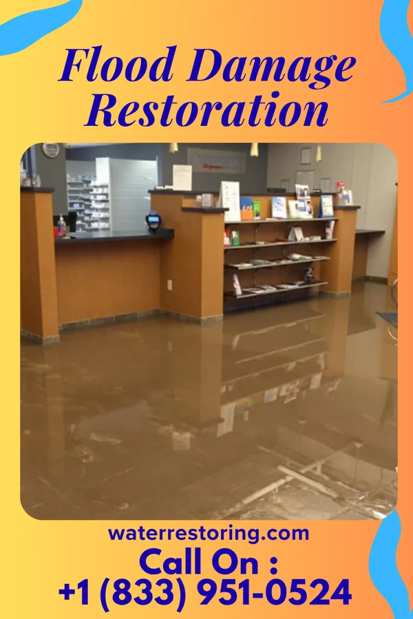 Flood Damage Restoration in Monroeville, IN