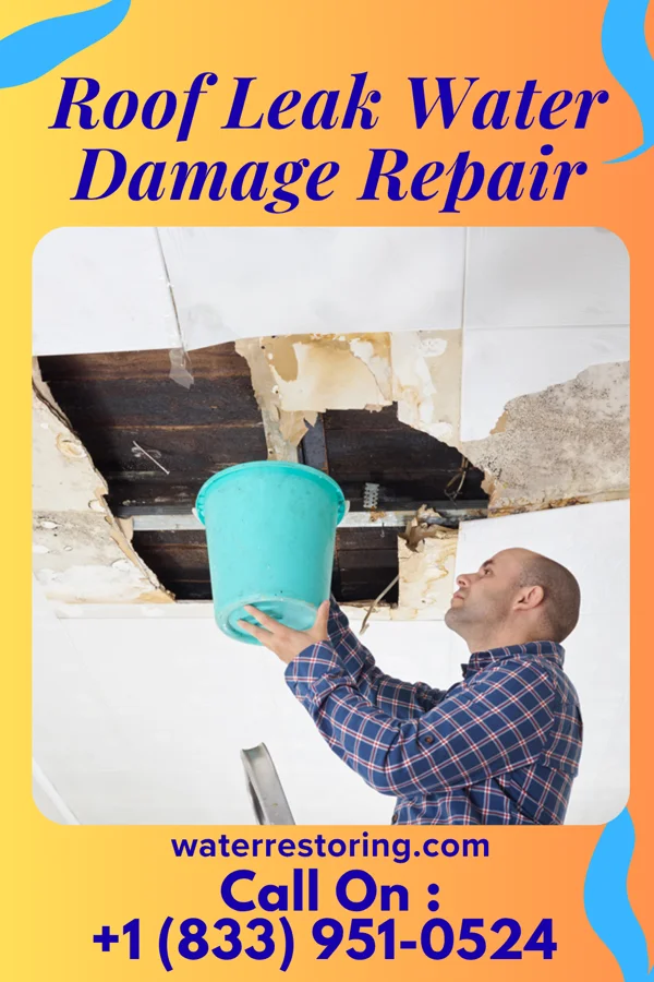 Roof Leak Water Damage Repair in Monroeville, IN