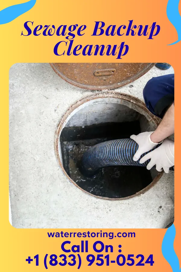 Sewage Backup Cleanup in Monroeville, IN