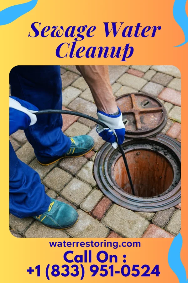 Sewage Water Cleanup in Monroeville, IN